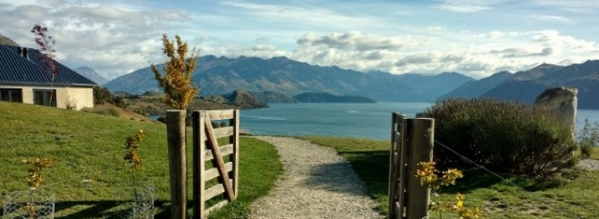 The magical vineyards of New Zealand make so much more than just Sauvignon Blanc.