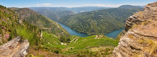 The dramatic slopes of Spain's Galicia are carpeted in terraced vineyards.
