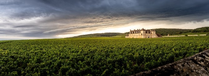 Once more, the vineyards of Burgundy take top spot when it comes to the world's most expensive wines.