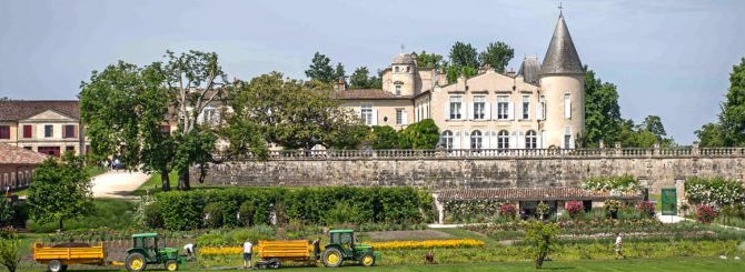 Pauillac is more famous for its prestigious wineries than its socio-economic deprivation.