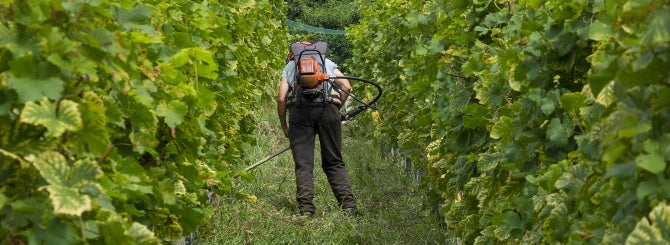 A Bordeaux campaigner has been sued for defamation over claims made about pesticide levels in the region.