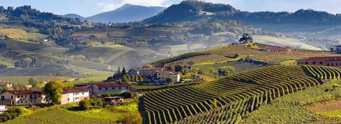 The vineyards of Barbaresco also enjoyed a fertile decade, with some brilliant vintages.